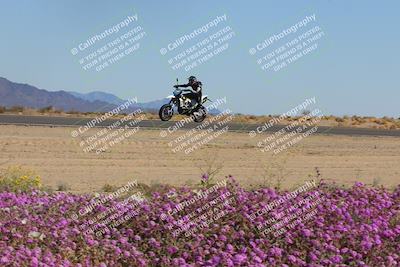 media/Feb-10-2023-2WTD (Fri) [[a356e03532]]/B Group/Session 5 (Turn 15 Blooming)/